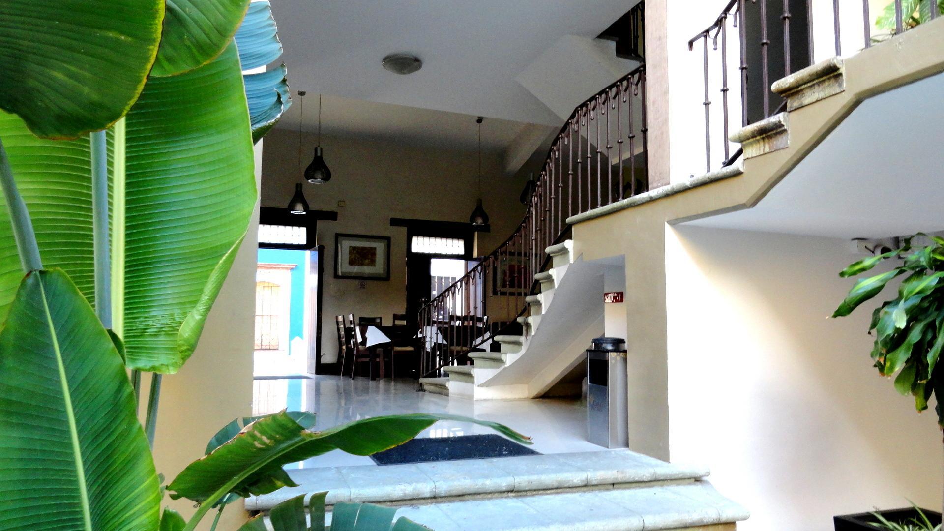 Casa De Las Flores Hotel Oaxaca Exteriér fotografie
